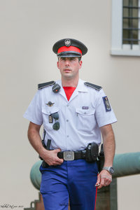 Carabiniers Relève de la Garde du 21 juin 2017, Relève 21juin2017  31 