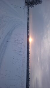 Finlande - Parc d'Hossa - janvier 2019, DSC_0553