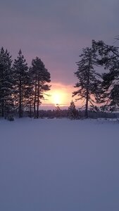 Finlande - Parc d'Hossa - janvier 2019, DSC_0559