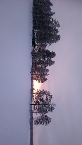 Finlande - Parc d'Hossa - janvier 2019, DSC_0565