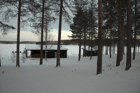 Finlande - Parc d'Hossa - janvier 2019, IMG_0055.CR2
