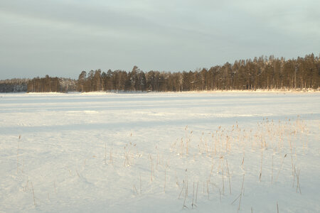 Finlande - Parc d'Hossa - janvier 2019, IMG_0077.CR2