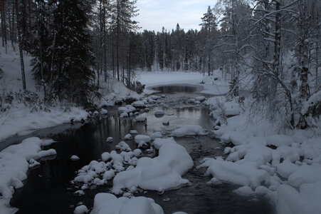 Finlande - Parc d'Hossa - janvier 2019, IMG_0123.CR2