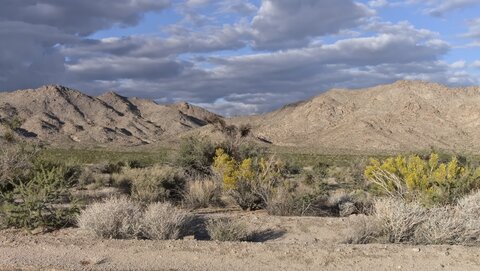 USA oct nov 2018, _1210787 raw Reserve de Mojave