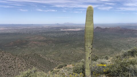 USA oct nov 2018, _1220950 raw Depuis Wasson Peak  1450m PN Saguaro Ouest