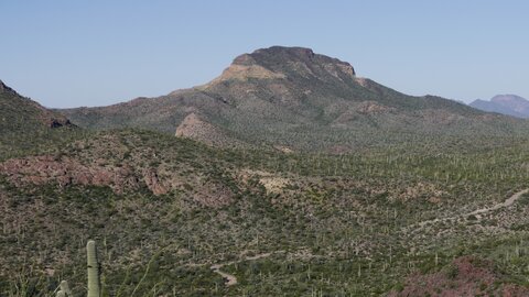 USA oct nov 2018, _1230573 Diablo Mountains  Ajo Mountain Trail  Organ Pipe Cactus NM