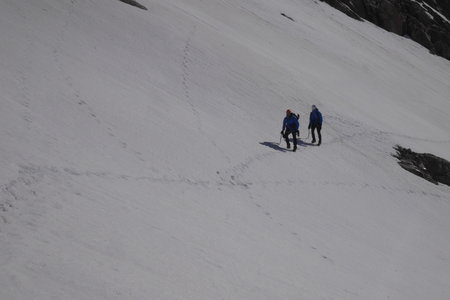 2019-06-04-09-autonomie-alpinisme-ecrins, pic-glacier-arsine-glacier-blanc-alpes-aventure-2019-06-08-39